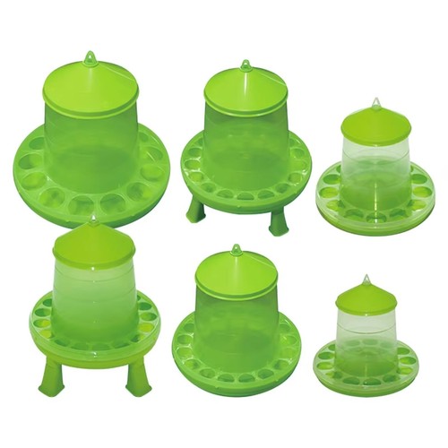 Chicken poultry feeder - chicken,