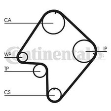TIMING BELT CONTINENTAL CTAM