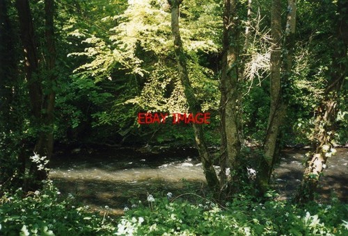 Photo 1995 devon lifton - photo,