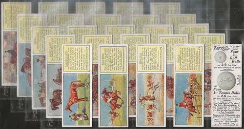 Typhoo full set - typhoo, set-