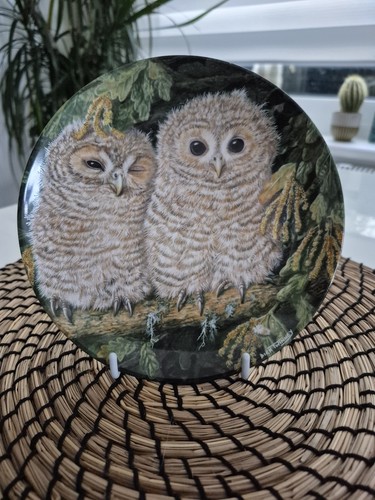 Wedgwood the baby - "the, owls"
