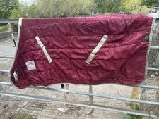 Chill Cheeta Medium Weight Stable Rug 5’9