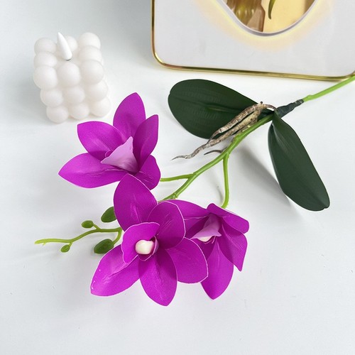 For home decor cymbidium - home,