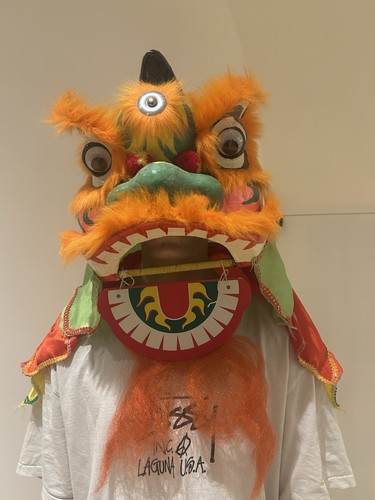 Chinese dragon head - chinese, costume
