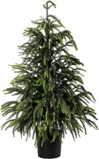 3Ft Norfolk Pine Tree Real Touch Artificial Realistic Christmas Tree in Decorat