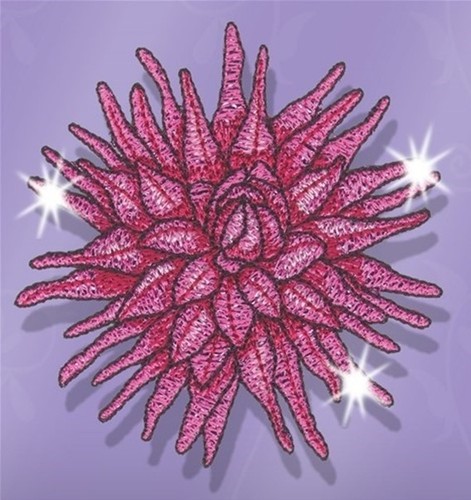 Machine embroidery designs - machine,