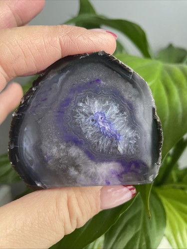 Gorgeous polished dyed purple - polished,