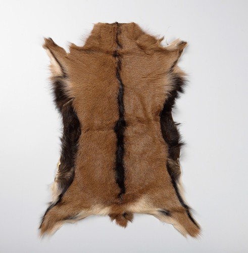 1pcs real goat skin fur - goat,