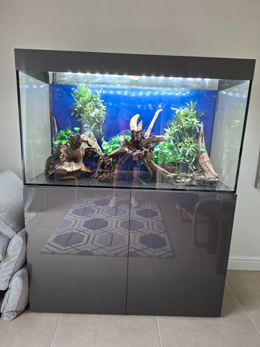 Aqua evolution 1200 fish tank - evolution,