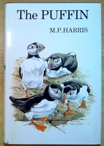Harris the puffin - m,