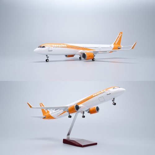 100 44cm large - 1/100,