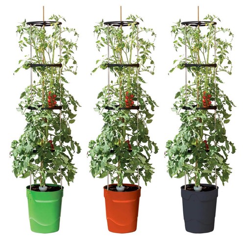 Garland self watering - self, plant