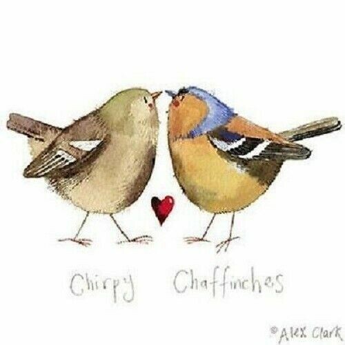 Chirpy chaffinches alex - alex, clark