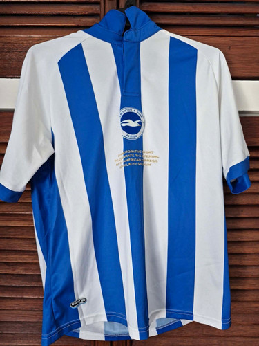 Brighton hove albion - albion, 2011