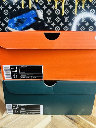 Pairs nike lebron xvi bhm - nike,