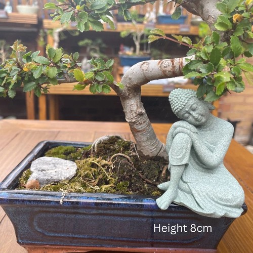 Mini buddha ornament bonsai - ornament,