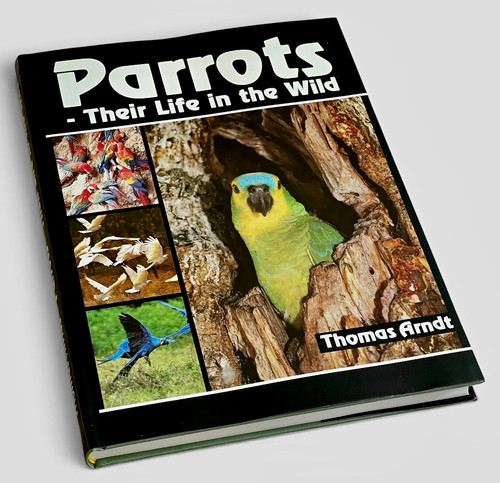 Parrots their life the - parrots:,