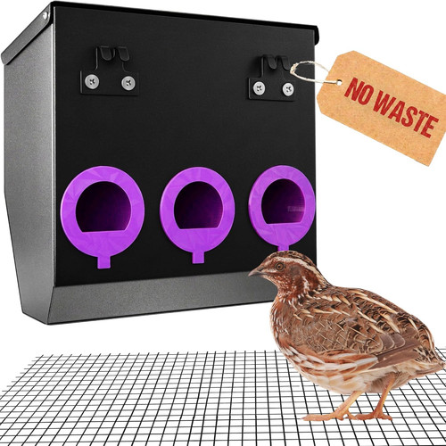 Waste quail feeder with 5 - waste,