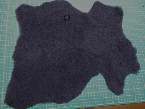 Dark blue short curly hair - , on