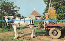 R718582 Kent Hop Picking in the Garden of England C G Williams Maidstone Plastic