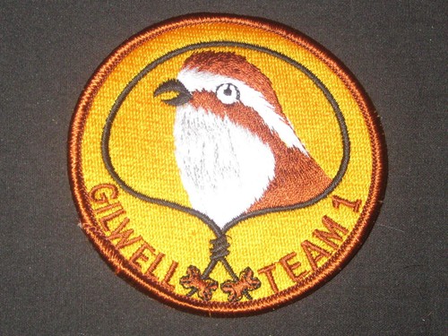 Wood badge gilwell team - wood,