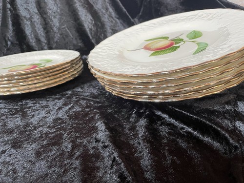 Plates x large 6 - x,