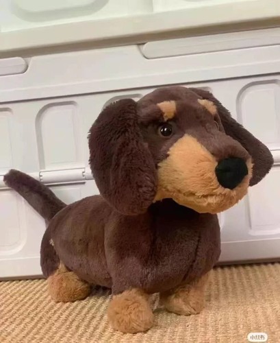 2026new jellycat dachshund - jellycat,