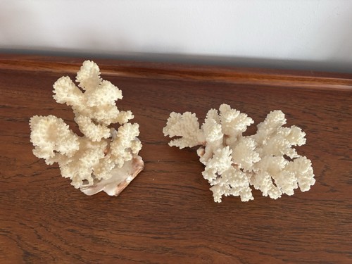 Real natural vintage cluster