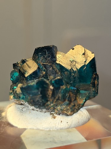 Rare gemmy green dioptase - gemmy,