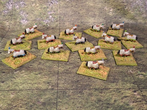 Fourteen 15mm cataphract - x,