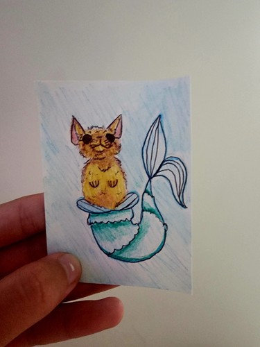 Cartoon cats drawing - cats, paper