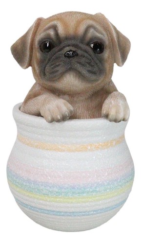 Realistic puggy pug - realistic,