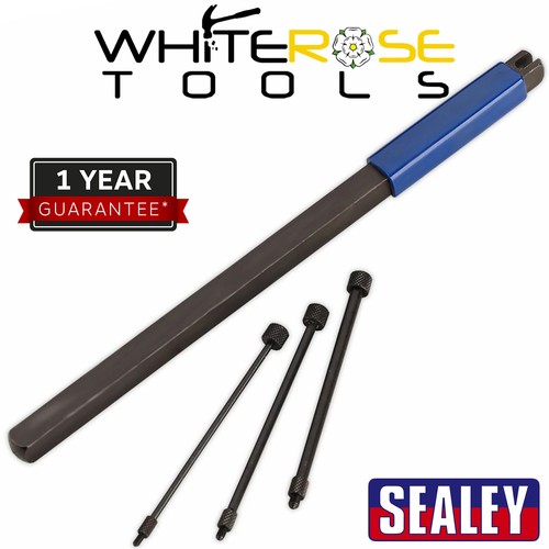 Sealey car door - car,