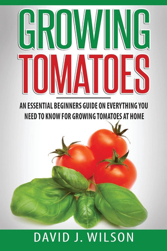 Growing tomatoes essential - growing, tomatoes: