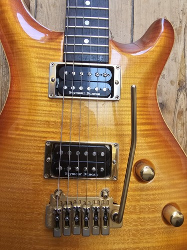 Feline custom made electric - made,