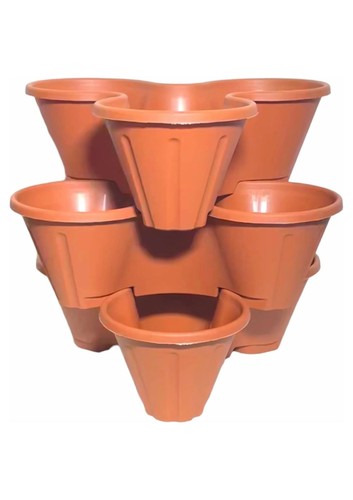 Spectraplast strawberry - spectraplast,