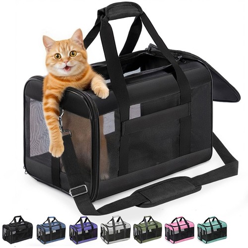 Conlun cat carrier airline - conlun,