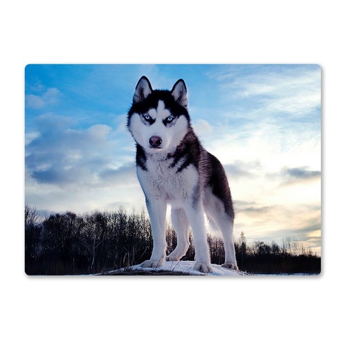 Metal wall sign - dogs, husky