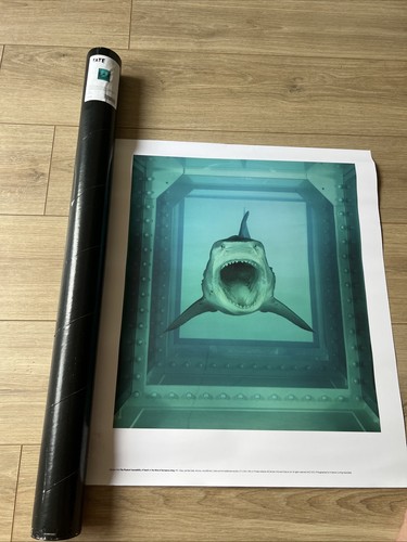 Damien hirst shark poster - hirst, 2012