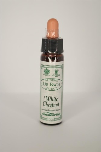 Bach white chestnut - dr,