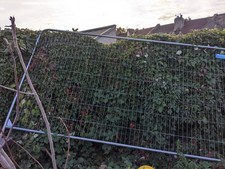 3 trade temporary anti-climb fence panels with concrete feet & coupler