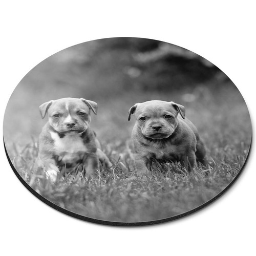 Round mouse mat - mouse,