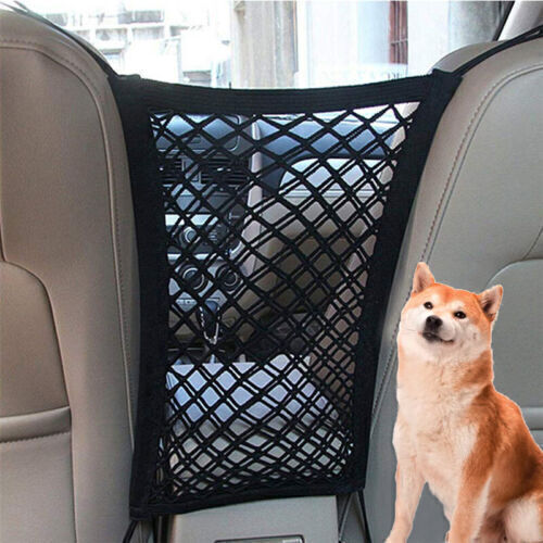 Pet dog car safety - pet,