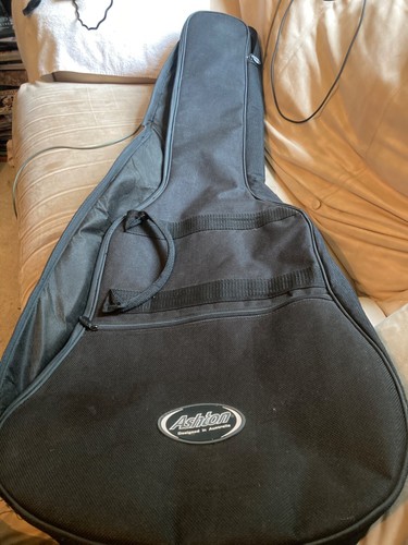 Ashton acoustic guitar case