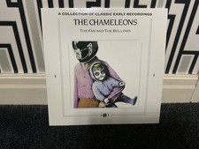 The chameleons fan and - chameleons,