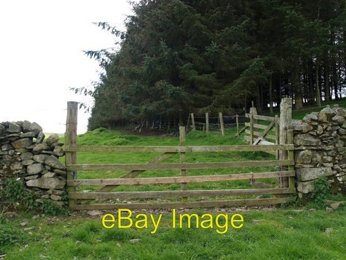 Photo 6x4 gate plantation - photo, gate,