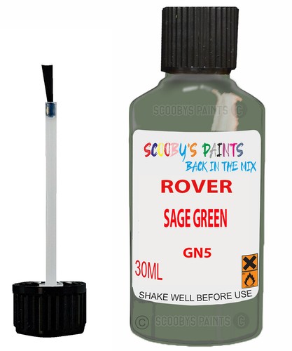 Paint touch for - touch, rover