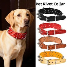 Vintage Spiked Dog Collars
