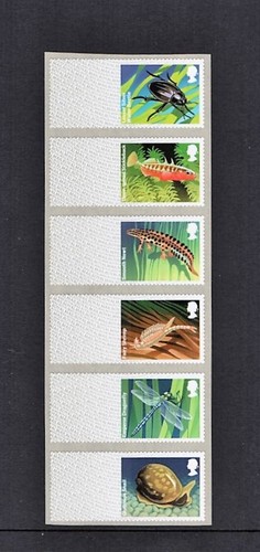 Post blanks freshwater life - freshwater,