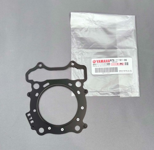 Engine cylinder head - head, gasket